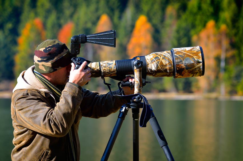 Professional Photography
